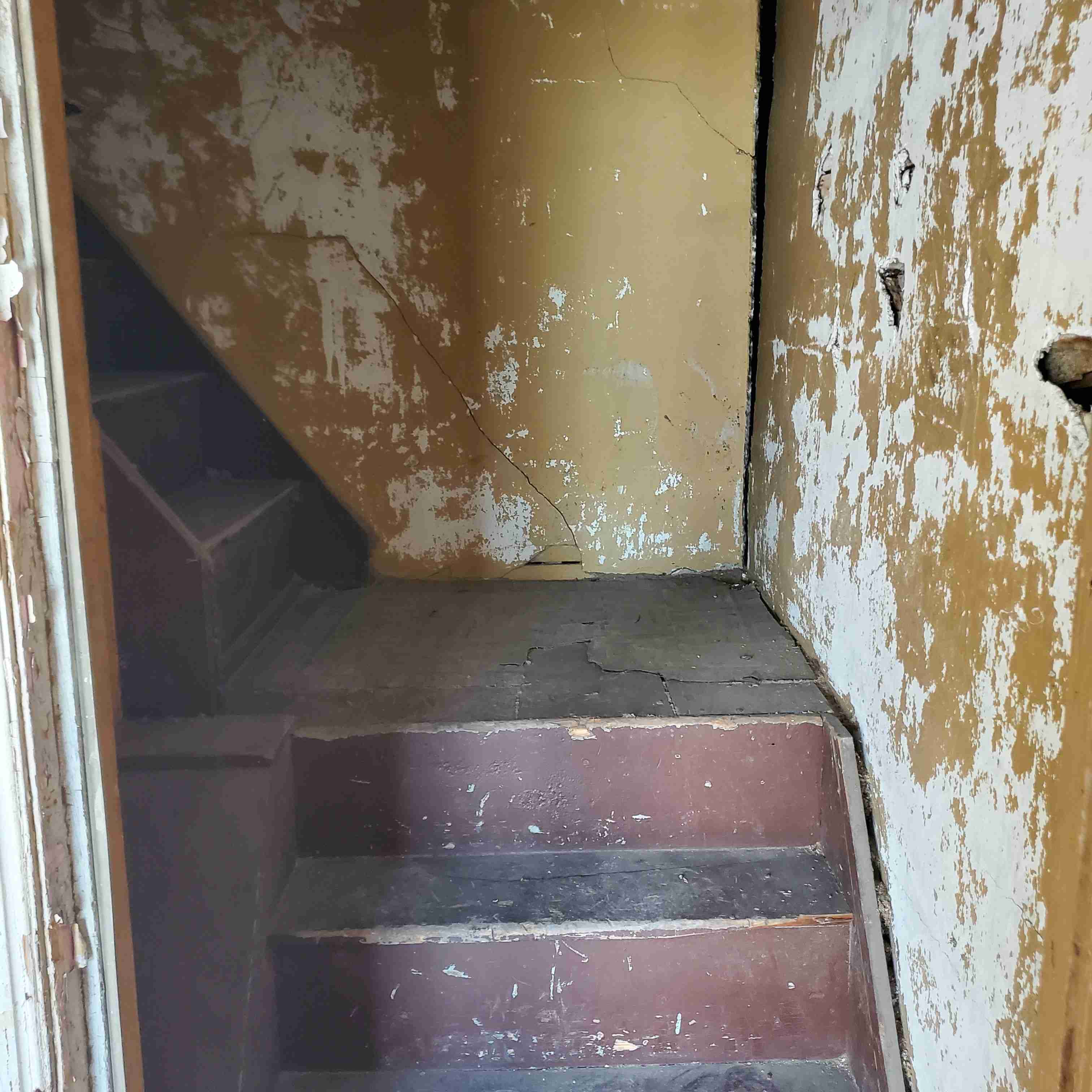 20200812_130721 (2).jpg